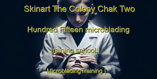 Skinart The Colony Chak Two Hundred Fifteen microblading training school | MicrobladingTraining | MicrobladingClasses | SkinartTraining-Pakistan